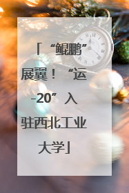 “鲲鹏”展翼！“运-20”入驻西北工业大学