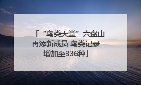 “鸟类天堂”六盘山再添新成员 鸟类记录增加至336种