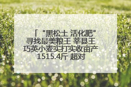 “黑松土 活化肥”寻找最美粮王 莘县王巧英小麦实打实收亩产1515.4斤 超对照田144斤！