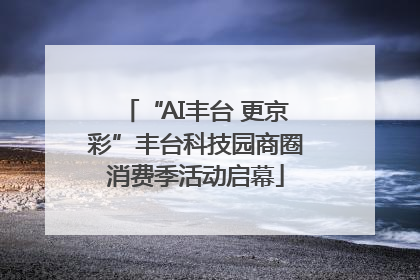 “AI丰台 更京彩”丰台科技园商圈消费季活动启幕