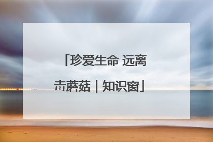 珍爱生命 远离毒蘑菇｜知识窗