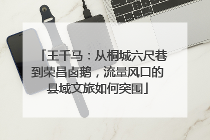 王千马：从桐城六尺巷到荣昌卤鹅，流量风口的县域文旅如何突围
