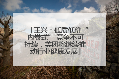 王兴：低质低价“内卷式” 竞争不可持续，美团将继续推动行业健康发展