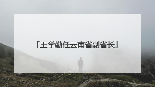 王学勤任云南省副省长