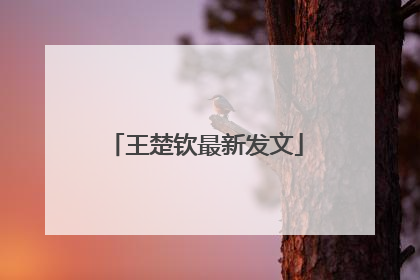 王楚钦最新发文