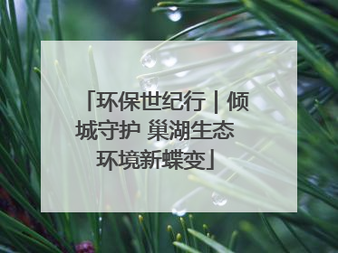环保世纪行｜倾城守护 巢湖生态环境新蝶变