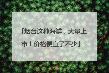 烟台这种海鲜，大量上市！价格便宜了不少