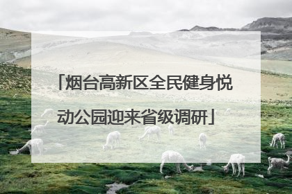 烟台高新区全民健身悦动公园迎来省级调研