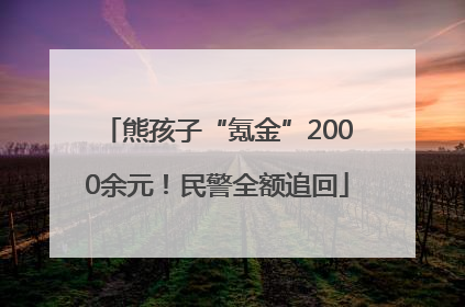 熊孩子“氪金”2000余元！民警全额追回