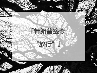 特朗普签令“放行”