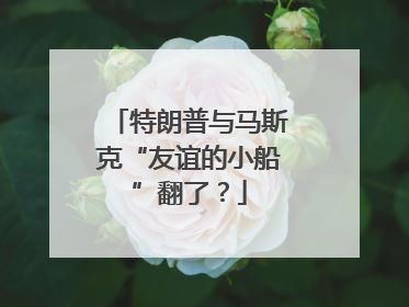 特朗普与马斯克“友谊的小船”翻了？