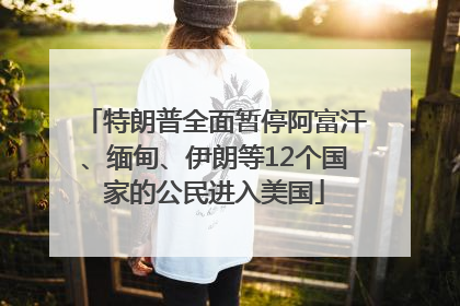 特朗普全面暂停阿富汗、缅甸、伊朗等12个国家的公民进入美国