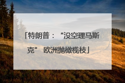 特朗普：“没空理马斯克” 欧洲抛橄榄枝