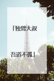 独臂大叔 吾道不孤