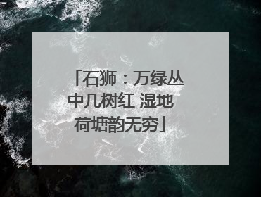 石狮：万绿丛中几树红 湿地荷塘韵无穷