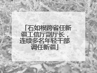 石如根跨省任新疆工信厅副厅长，连续多名年轻干部调任新疆