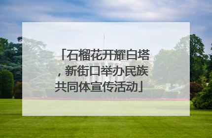 石榴花开耀白塔，新街口举办民族共同体宣传活动