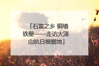 石雷之乡 铜墙铁壁——走访大泽山抗日根据地