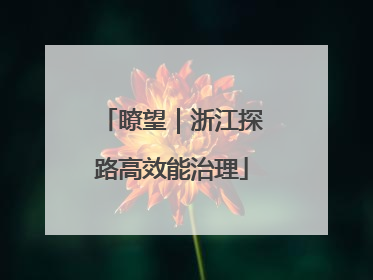 瞭望｜浙江探路高效能治理