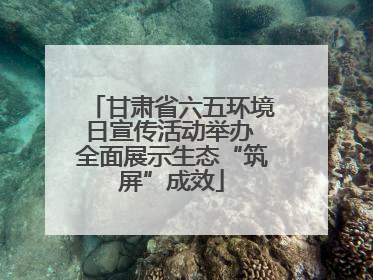 甘肃省六五环境日宣传活动举办 全面展示生态“筑屏”成效