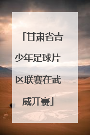 甘肃省青少年足球片区联赛在武威开赛