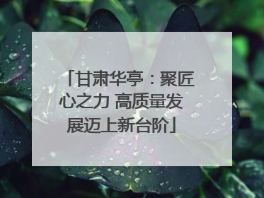 甘肃华亭：聚匠心之力 高质量发展迈上新台阶