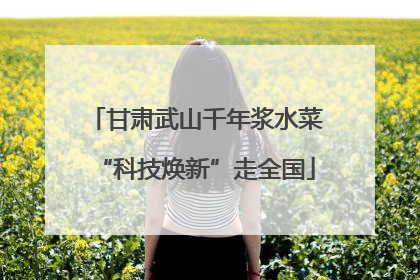 甘肃武山千年浆水菜“科技焕新”走全国
