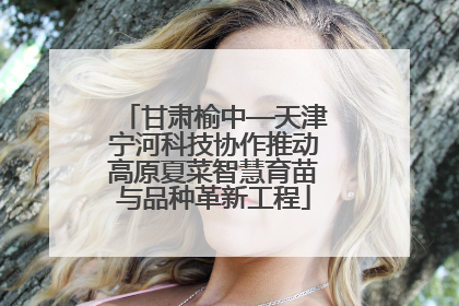 甘肃榆中—天津宁河科技协作推动高原夏菜智慧育苗与品种革新工程