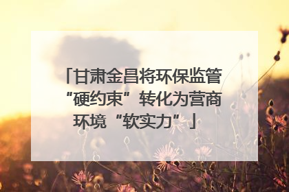 甘肃金昌将环保监管“硬约束”转化为营商环境“软实力”