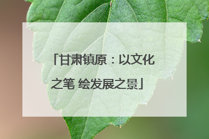 甘肃镇原：以文化之笔 绘发展之景