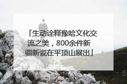 生动诠释豫哈文化交流之美，800余件新疆新瓷在平顶山展出