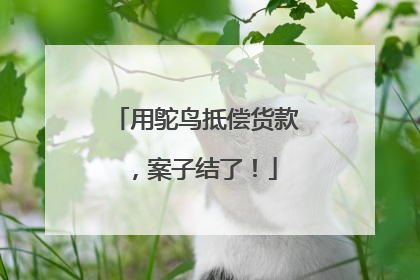 用鸵鸟抵偿货款，案子结了！