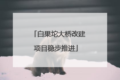 白果坨大桥改建项目稳步推进