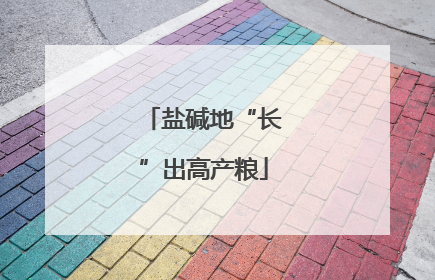 盐碱地“长”出高产粮