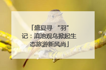 盛夏寻 “羽” 记：滇池观鸟掀起生态旅游新风尚