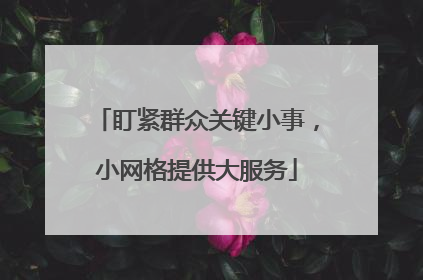 盯紧群众关键小事，小网格提供大服务