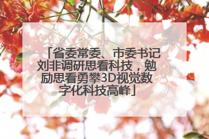 省委常委、市委书记刘非调研思看科技，勉励思看勇攀3D视觉数字化科技高峰