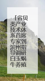 省贝类产业技术体系首席专家到滨州指导调研白玉蜗牛养殖情况