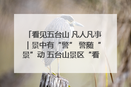 看见五台山 凡人凡事｜景中有“警” 警随“景”动 五台山景区“看得见”的平安守护
