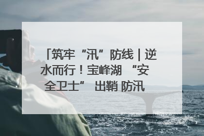 筑牢“汛”防线｜逆水而行！宝峰湖 “安全卫士” 出鞘 防汛应急再添硬核力量
