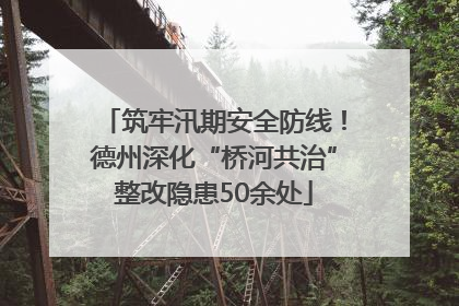 筑牢汛期安全防线！德州深化“桥河共治”整改隐患50余处