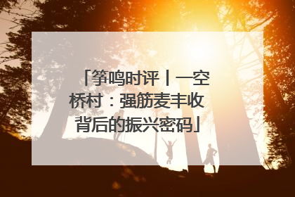 筝鸣时评丨一空桥村：强筋麦丰收背后的振兴密码
