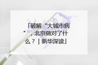 破解“大城市病”，北京做对了什么？｜新华深读