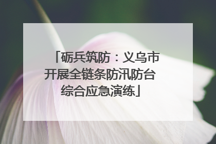 砺兵筑防：义乌市开展全链条防汛防台综合应急演练