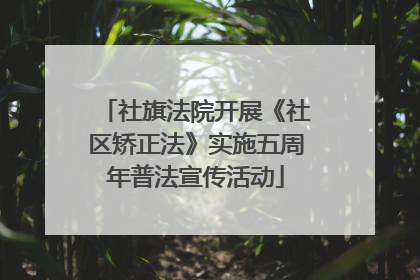 社旗法院开展《社区矫正法》实施五周年普法宣传活动