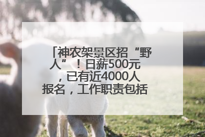 神农架景区招“野人”！日薪500元，已有近4000人报名，工作职责包括“接受游客投喂”