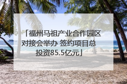福州马祖产业合作园区对接会举办 签约项目总投资85.5亿元