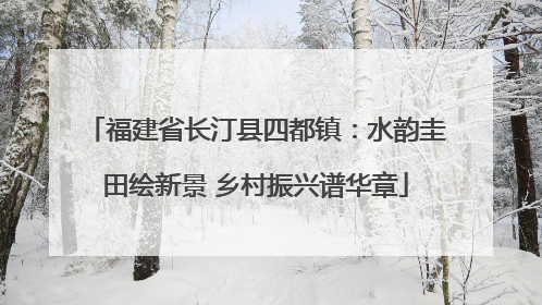 福建省长汀县四都镇：水韵圭田绘新景 乡村振兴谱华章