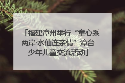 福建漳州举行“童心系两岸·水仙连亲情”漳台少年儿童交流活动