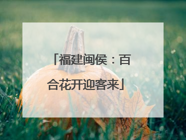 福建闽侯：百合花开迎客来